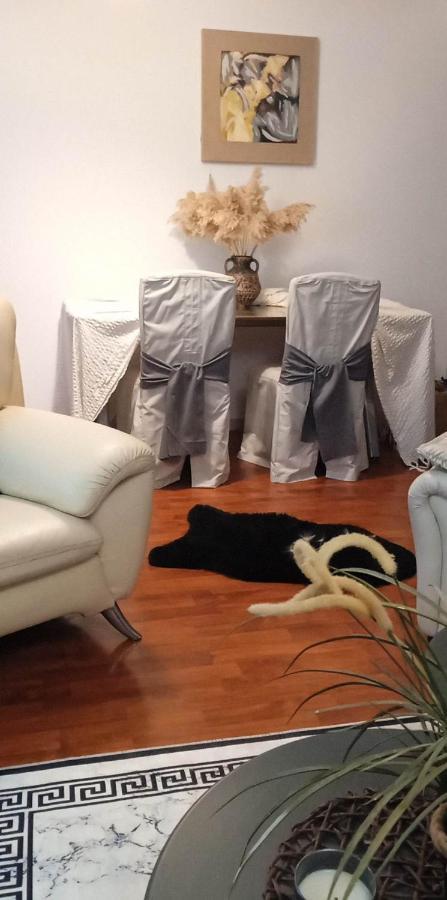 Lovely Cozy Apartment In The Entrance Of Nicosia Aglantzia Eksteriør billede